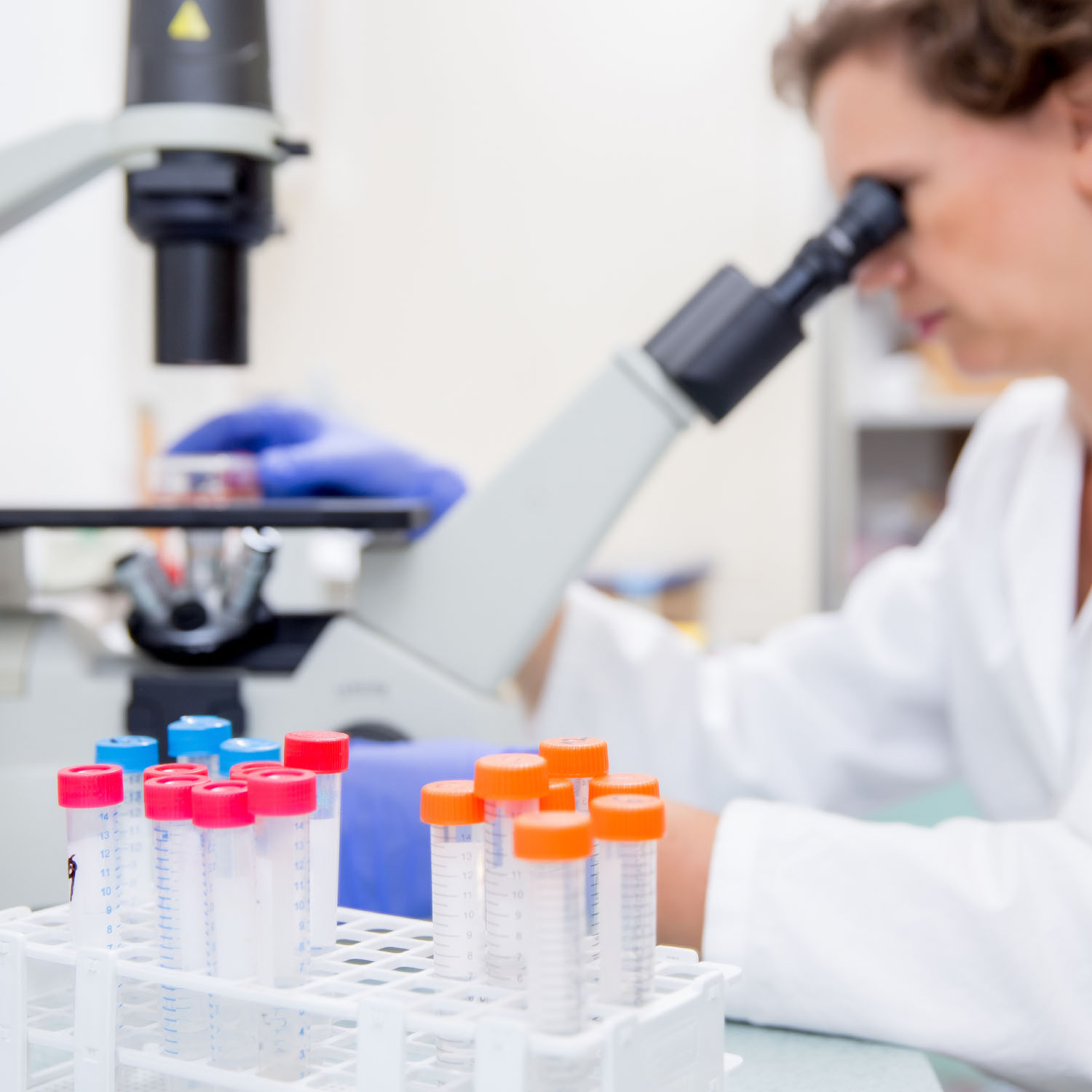 Natural Extracts Natural Extracts